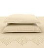 Brown Embroidered 210 TC Cotton King Sized Bedsheet with 2 Pillow Covers