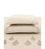 Brown Embroidered 210 TC Cotton King Sized Bedsheet with 2 Pillow Covers