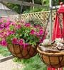 Brown Coir (Pack of 2) Hanging Basket Planter