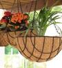 Brown Coir (Pack of 2) Hanging Basket Planter