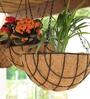 Brown Coir (Pack of 2) Hanging Basket Planter