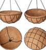 Brown Coir (Pack of 2) Hanging Basket Planter