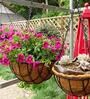 Brown Coir (Pack of 2) Hanging Basket Planter