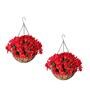 Brown Coir (Pack of 2) Hanging Basket Planter
