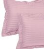 Pink 210TC Cotton stripe 1 Super King Bedsheet with 2 Pillow Covers