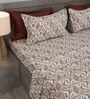 Brown Contemporary Ikat Pattern 210 TC 100% Cotton Superking Bedsheet with 2 Pillow Covers