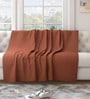 Brown Solid Cotton 55x82 Inches Sofa Throw