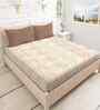 Brown Cotton 1 Double Queen Bedsheet with 2 Pillow Covers