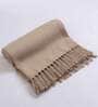 Brown Solid Cotton 60 x 50 Inches Sofa Throw