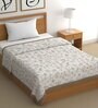 Brown Cotton Abstract 500 GSM Single Bed Comforter