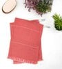 Red Aloevera Double Cloth Striped 300 GSM 2 Pcs Hand Towel
