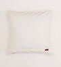 Brown Cotton Blend Nature 18x18 inches Cushion Covers