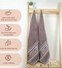 Brown Cotton Printed  460 GSM Bath Towels Pack of 2