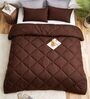 Brown Cotton 210TC Solid Plain All Weather Double 150GSM Bedding Set 1 Comforter 1 Bedsheet 2 Pillow Covers
