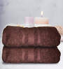 Brown Cotton Solid 500 GSM Bath Towels (Set of 2)