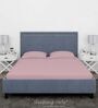 Pink Cotton Solid Finest 300TC Plain Super King Bedsheet with 2 Pillow Covers