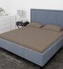 Brown Cotton Solid Finest 300TC Plain Super King Bedsheet with 2 Pillow Covers