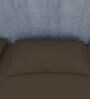 Grey Cotton Solid Finest 300TC Plain Super King Bedsheet with 2 Pillow Covers