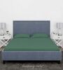 Green Cotton Solid Finest 300TC Plain Super King Bedsheet with 2 Pillow Covers