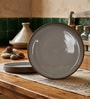 Brown Dinner Plates Set of 2