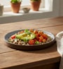 Brown Dinner Plates Set of 2