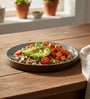 Brown Dinner Plates Set of 6