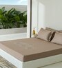 Brown Embroidered 210 TC Cotton King Sized Bedsheet with 2 Pillow Covers