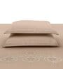 Brown Embroidered 210 TC Cotton King Sized Bedsheet with 2 Pillow Covers