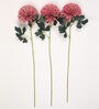 Brown Fabric Premium Ballmum Artificial Flowers