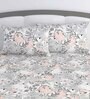 Brown Floral 144 TC Cotton King Size Bedsheet With 2 Pillow Covers