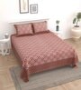 Brown Floral 144 TC Cotton King Bedsheet and 2 Pillow Cover