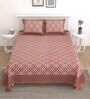 Brown Floral 144 TC Cotton King Bedsheet and 2 Pillow Cover