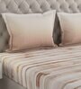 Brown Striped 144 TC Cotton Queen Sized Bed Sheets with 2 Pillow Covers