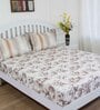 Brown Floral 144 TC Cotton Queen Sized Bed Sheets with 2 Pillow Covers