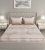Brown Striped 144 TC Cotton Queen Sized Bed Sheets with 2 Pillow Covers