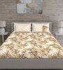 Brown Floral 150 TC Cotton Queen Sized Bed Sheets with 2 Pillow Covers