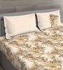 Brown Floral 150 TC Cotton Queen Sized Bed Sheets with 2 Pillow Covers