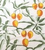 Brown Floral 180 TC Cotton King Bedsheet with 2 Pillow Covers