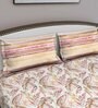 Brown Floral 180 TC Cotton Queen Sized Bed Sheets with 2 Pillow Covers