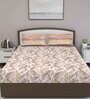Brown Floral 180 TC Cotton Queen Sized Bed Sheets with 2 Pillow Covers