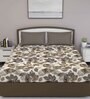 Brown Floral 210 TC Cotton Queen Sized Bed Sheets with 2 Pillow Covers
