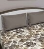 Brown Floral 210 TC Cotton Queen Sized Bed Sheets with 2 Pillow Covers
