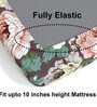 Multicolor Floral 210 TC Microfiber Queen Sized Fitted Bed Sheets with 2 Pillow Covers