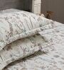 Off White Floral 210TC 100% Cotton Printed Flat Super King Bedsheet With 2 Pillow Covers