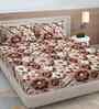 Brown Floral 300 TC Cotton Blend 7D King Size Fitted Double Bedsheet with 2 Pillow Covers