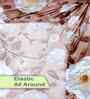 Brown Floral 300 TC Cotton Blend 7D King Size Fitted Double Bedsheet with 2 Pillow Covers