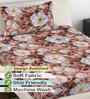 Brown Floral 300 TC Cotton Blend 7D Single Bedsheet with 1 Pillow Cover