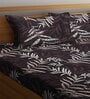 Brown Floral 300 TC Cotton Blend Double King Sized Bedsheet With 2 Pillow Covers