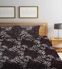 Brown Floral 300 TC Cotton Blend Double King Sized Bedsheet With 2 Pillow Covers