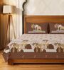 Brown Floral 300 TC Cotton King Sized Fitted Bedsheet with 2 Pillow Covers